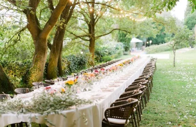 فيلة Il Broglino *