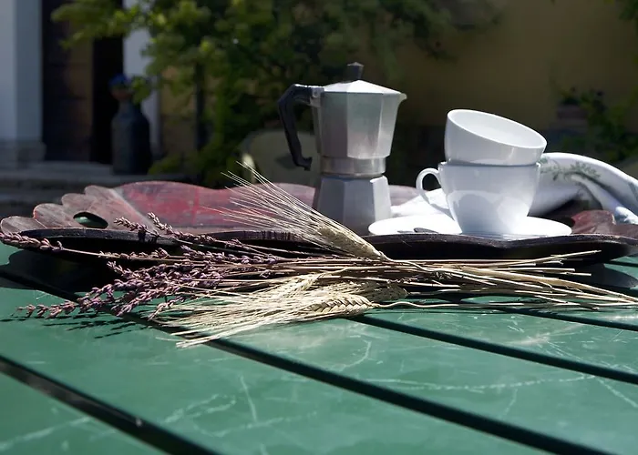 فيلة Il Broglino